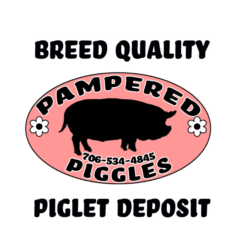 AKKPS Breed Quality Piglet Deposit