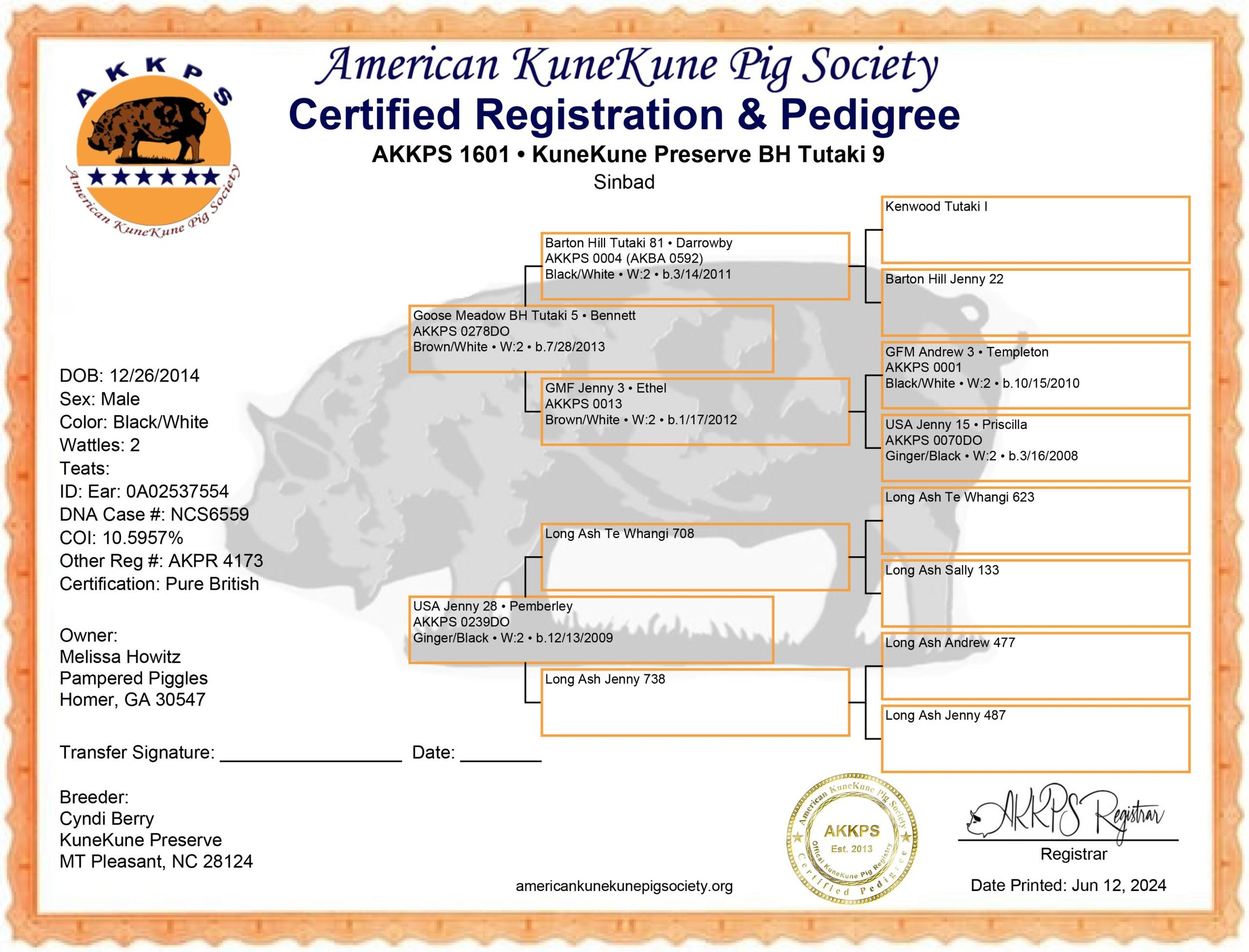 Certified registration and pedigree certificate for a male KuneKune pig named Sinbad, born on December 26, 2014. The document includes details such as color (black/white), DNA case number, and lineage information, showcasing a pure British certification by the American KuneKune Pig Society.